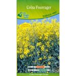 Engrais vert – Colza fourrager- 25103 – Les Doigts Verts