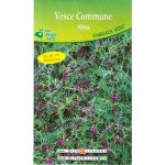Engrais vert – Vesce commune nitra – 25109 – Les Doigts Verts