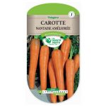 semences-026-carotte-nantaise-amelioree-page1-les-doigts-verts