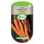 semences-028-carotte-touchon-page1-les-doigts-verts