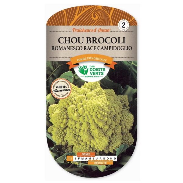 Semences Chou Brocoli Romanesco Race Campidoglio Les Doigts Verts Estragon Be