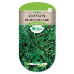 semences-153-cresson-de-jardin-de-terre-page1-les-doigts-verts
