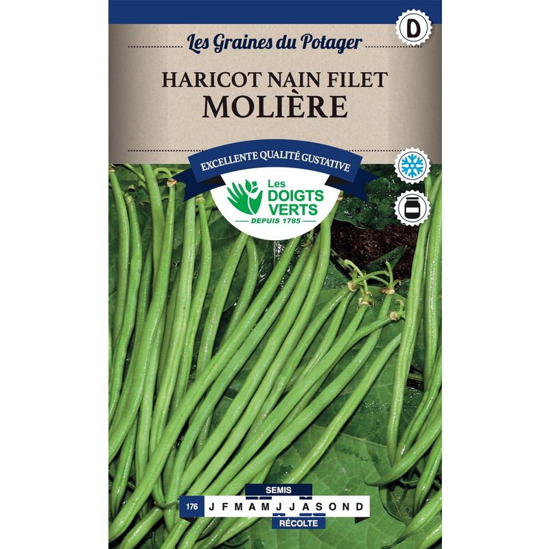 Semences - 176-HARICOT NAIN FILET MOLIERE-page1 - Les Doigts Verts