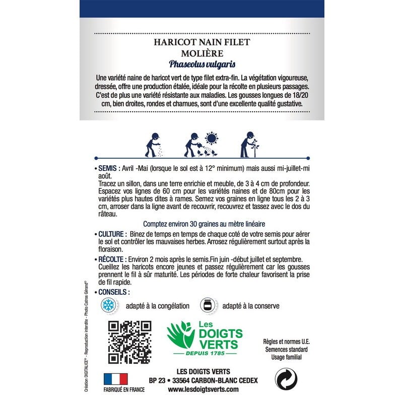 Semences - 176-HARICOT NAIN FILET MOLIERE-page2 - Les Doigts Verts