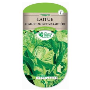 Semences - 270-LAITUE ROMAINE BLONDE MARAICHERE-page1 - Les Doigts Verts