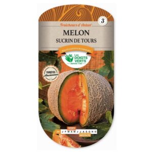 Semences - 284-MELON SUCRIN DE TOURS-page1 - Les Doigts Verts