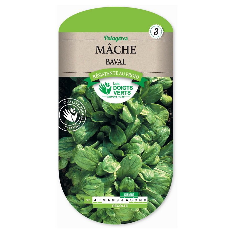 Semences - 301-MACHE BAVAL-page1 - Les Doigts Verts