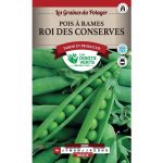 Semences – 368-POIS A RAMES ROI DES CONSERVES-page1 – Les Doigts Verts