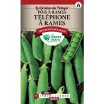 Semences – 373-POIS A RAMES TELEPHONE A RAMES-page1 – Les Doigts Verts