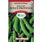 Semences – 381-POIS NAIN DOUCE PROVENCE-page1 – Les Doigts Verts