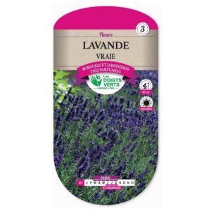 Semences - 457-LAVANDE VRAIE-page1 - Les Doigts Verts