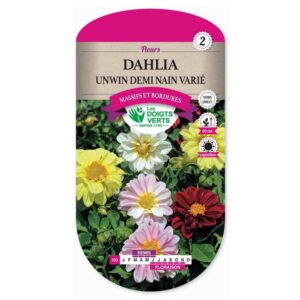 Graines - Dahlia unwin demi nain varié - 1,5 gr - Les Doigts Verts