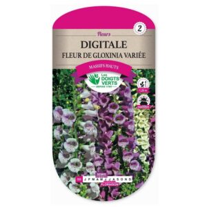 Graines - Digitale fleur de gloxinia variée - 1,5 gr - Les Doigts Verts