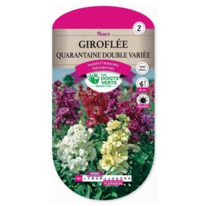 Semences - 564-GIROFLEE QUARANTAINE DOUBLE VARIEE-page1 - Les Doigts Verts