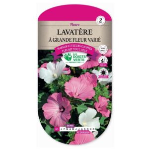 Semences - 621-LAVATERE A GRANDE FLEUR VARIE-page1 - Les Doigts Verts