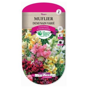 Graines - Muflier demi nain varié - 0,8 gr - Les Doigts Verts