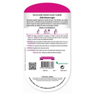 Semences - 634-MUFLIER DEMI NAIN VARIE-page2 - Les Doigts Verts