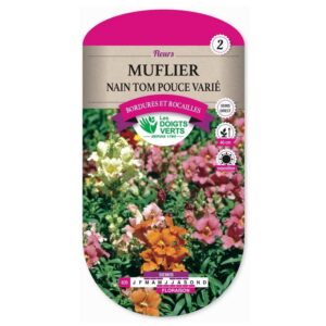 Graines - Muflier nain Tom Pouce varié - 0,8 gr - Les Doigts Verts