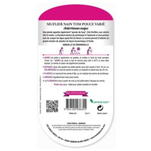 Semences - 635-MUFLIER NAIN TOM POUCE VARIE-page2 - Les Doigts Verts