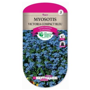 Graines - Myosotis Victoria compact bleu - 0,5 gr - Les Doigts Verts