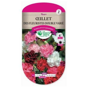 Semences - 652-OEILLET DES FLEURISTES DOUBLE VARIE-page1 - Les Doigts Verts