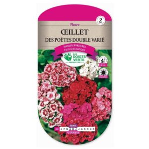 Semences - 668-OEILLET DES POETES DOUBLE VARIE-page1 - Les Doigts Verts