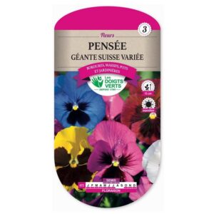 Semences - 672-PENSEE GEANTE SUISSE VARIEE-page1 - Les Doigts Verts