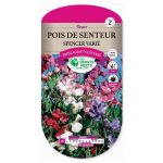Semences – 685-POIS DE SENTEUR SPENCER VARIE-page1 – Les Doigts Verts