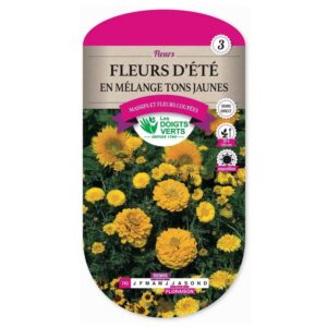 Graines - Fleurs en mélange tons jaunes - 5 gr - Les Doigts Verts