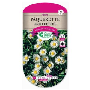 Semences - 775-PAQUERETTE SIMPLE DES PRES-page1 - Les Doigts Verts