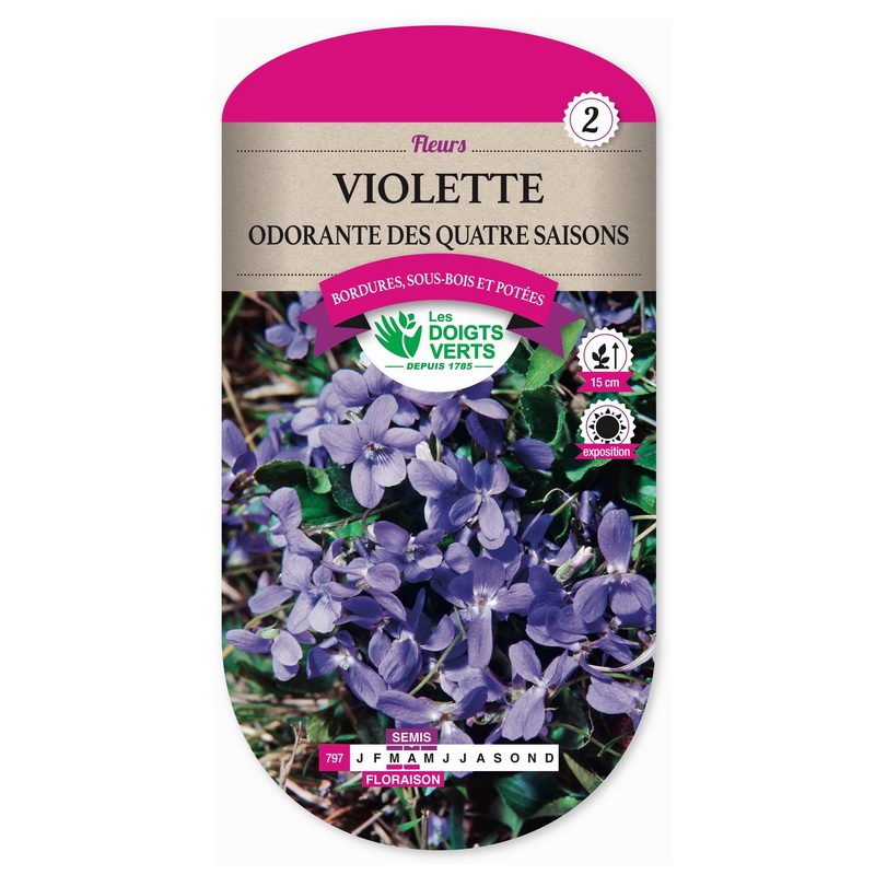 Semences - 797-VIOLETTE ODORANTE DES QUATRE SAISONS-page1 - Les Doigts Verts