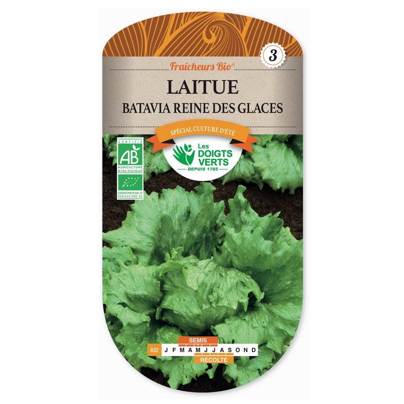 Semences Bio - 832-LAITUE BATAVIA REINE DES GLACES-page1 - Les Doigts Verts