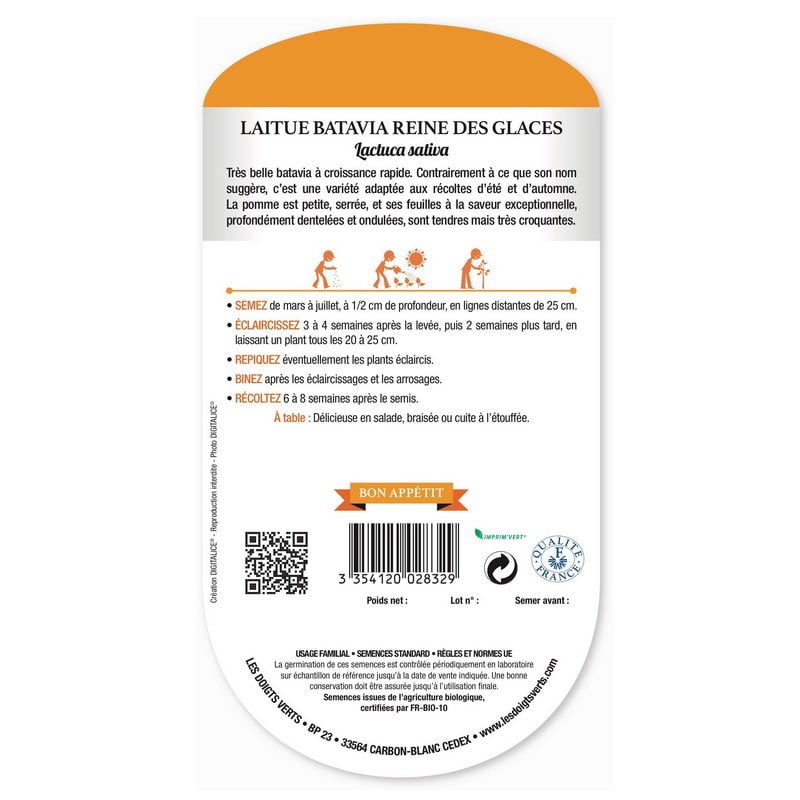 Semences Bio - 832-LAITUE BATAVIA REINE DES GLACES-page2 - Les Doigts Verts