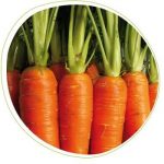 plusieurs-carottes