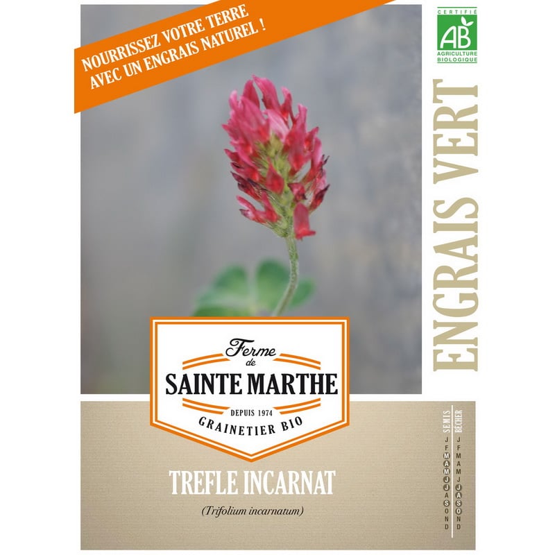 Semences bio - 405225-1-trefle-incarnat - Ferme de Sainte Marthe