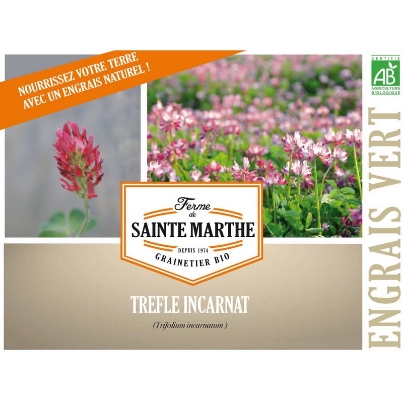 Semences bio - 405225-2-trefle-incarnat - Ferme de Sainte Marthe