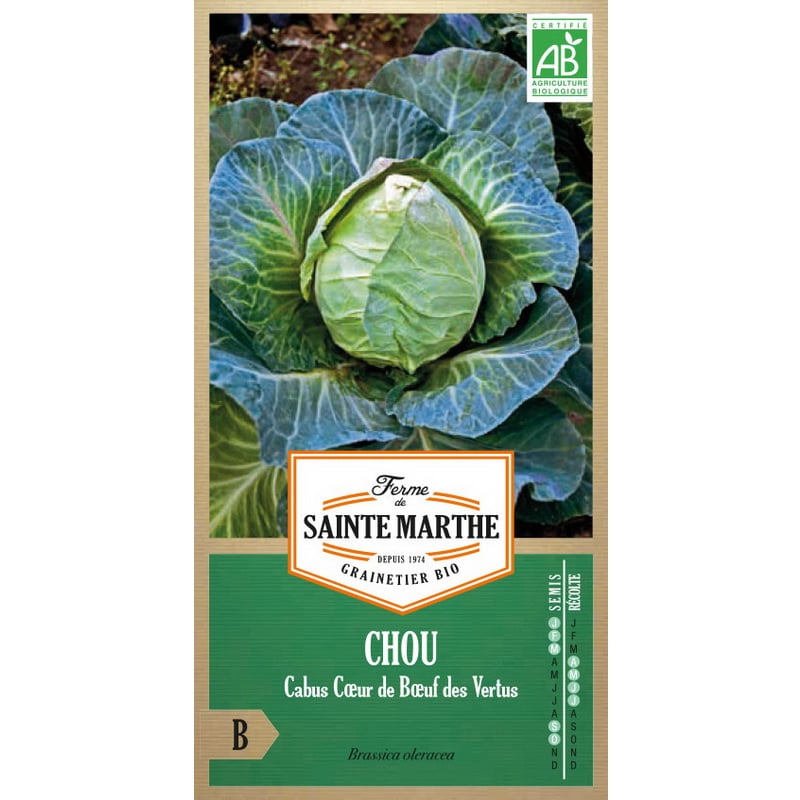 Semences bio - 80335--SACHET--CHOU-Cabus-Cœur-de-Bœuf-des-Vertus--RECTO - Ferme de Sainte Marthe