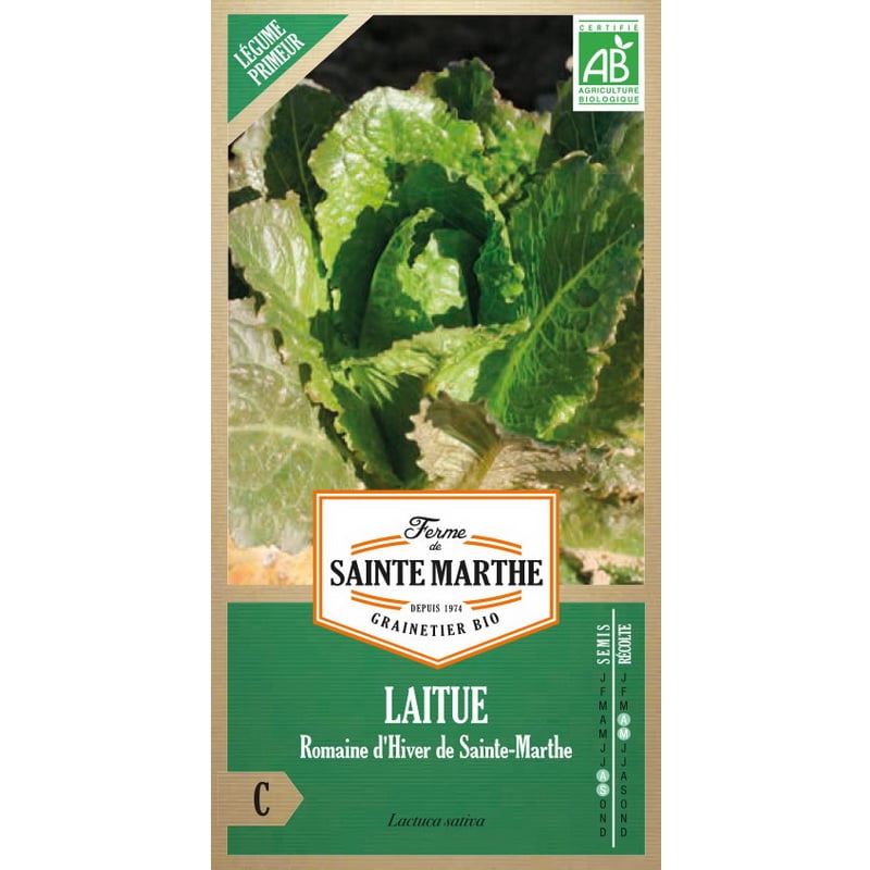 Semences bio - 80643--SACHET--LAITUE-Romaine-d_Hiver-de-Sainte-Marthe--RECTO - Ferme de Sainte Marthe