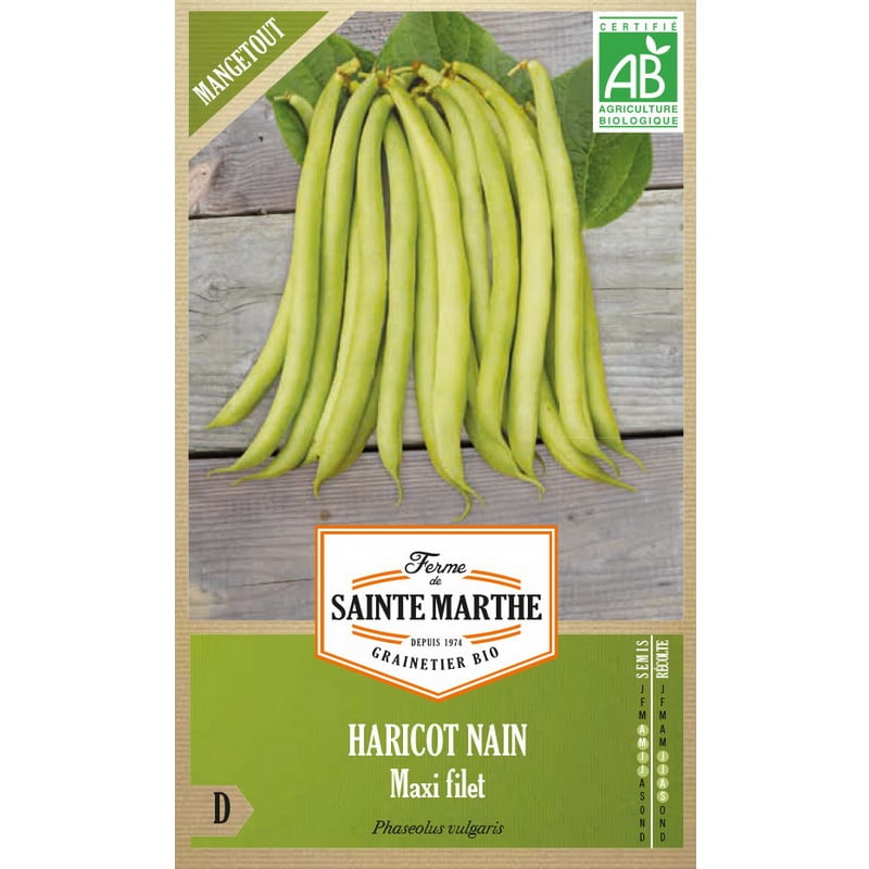 Semences bio - 81210--BOITE--HARICOT-Nain-Maxi-Filet-Mangetout--RECTO - Ferme de Sainte Marthe