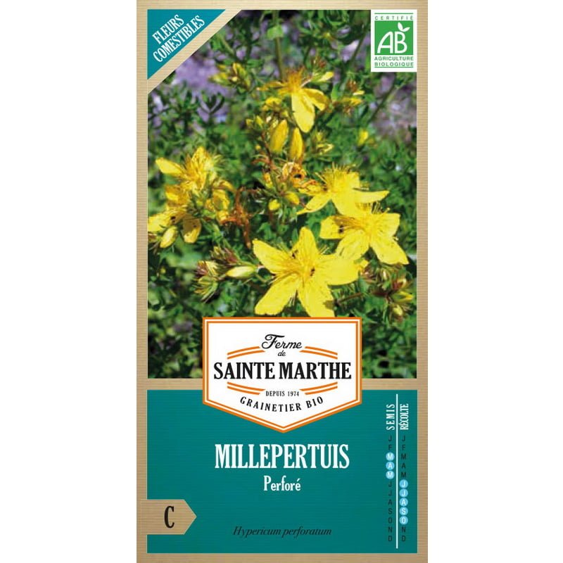 Semences bio - 82007--SACHET--MILLEPERTUIS-Perforé--RECTO - Ferme de Sainte Marthe