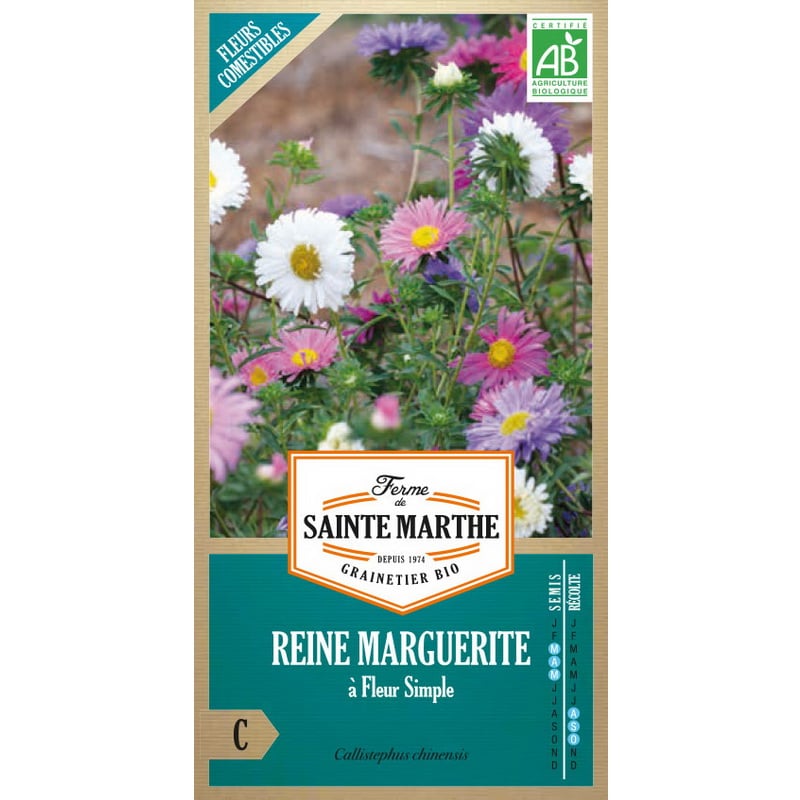 Semences bio - 82150--SACHET--REINE-MARGUERITE-à-Fleurs-Simples-Variées--RECTO - Ferme de Sainte Marthe