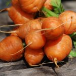 semences-bio-carotte-marche-de-paris-p-ferme-de-sainte-marthe