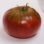 semences-bio-tomate-noire-de-crimee-p-ferme-de-sainte-marthe