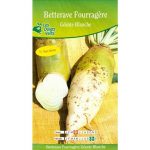 Semences – 25116-Betterave fourrage geante blanche-page1 – Les Doigts Verts