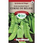 Semences – 392-POIS MANGETOUT CORNE DE BELIER-page1 – Les Doigts Verts