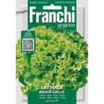 8012450701750 - DBO78-23 - Graines - Laitue - Lattuga riccia lollo - 5 gr - Franchi