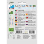 8012450701750 - DBO78-23 - Graines - Laitue - Lattuga riccia lollo - 5 gr - Franchi -V