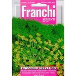 Semences – DBA62-18 – Fenouil sauvage – Finocchio selvatico – Franchi