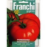 Semences – DBO106-25 – Tomate marmande – Pomodoro marmande – Franchi