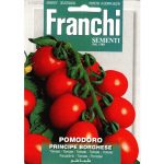 Semences – DBO106-50 – Tomate prince Borgheze – Pomodoro principe Borgheze – Franchi